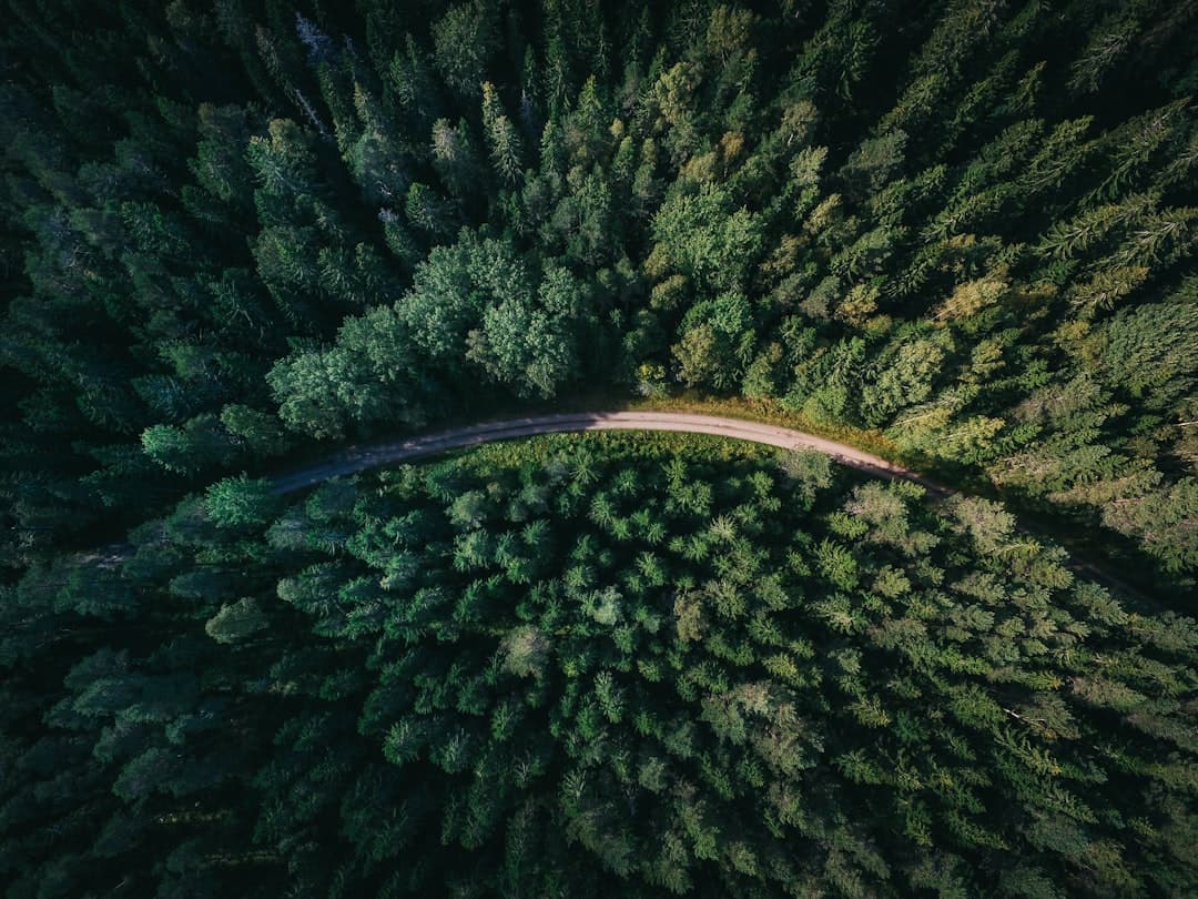 Aerial view of a forested landscape