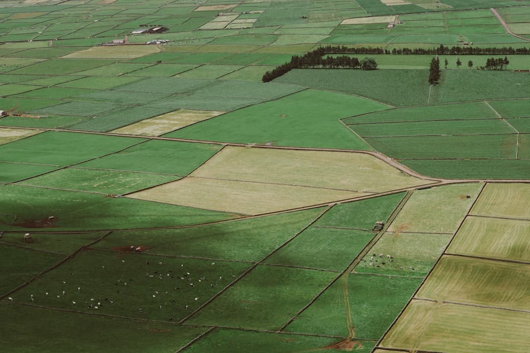 Site Suitability Analysis with GIS: Methods and Workflow